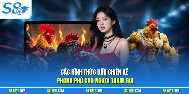 Các hình thức đấu chiến kê phong phú cho người tham gia
