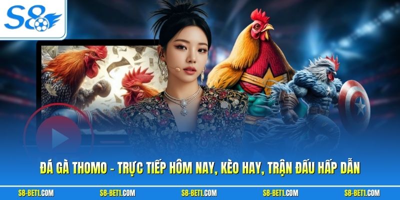 Đá Gà Thomo - Trực Tiếp Hôm Nay, Kèo Hay, Trận Đấu Hấp Dẫn