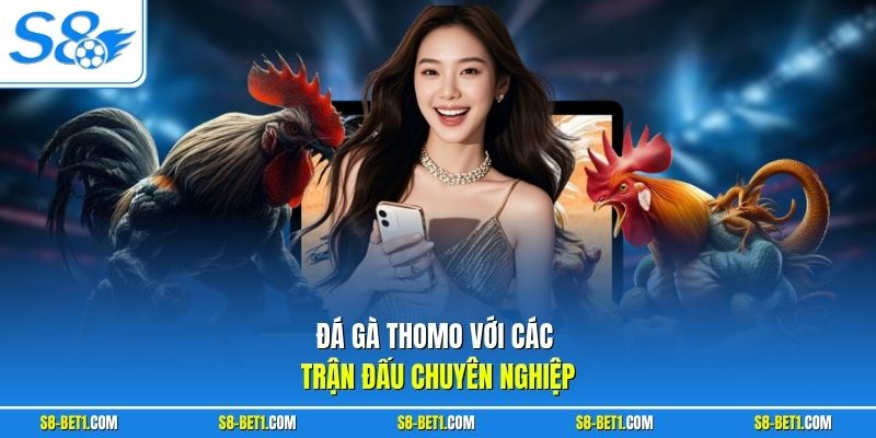 Đá gà Thomo với các trận đấu chuyên nghiệp