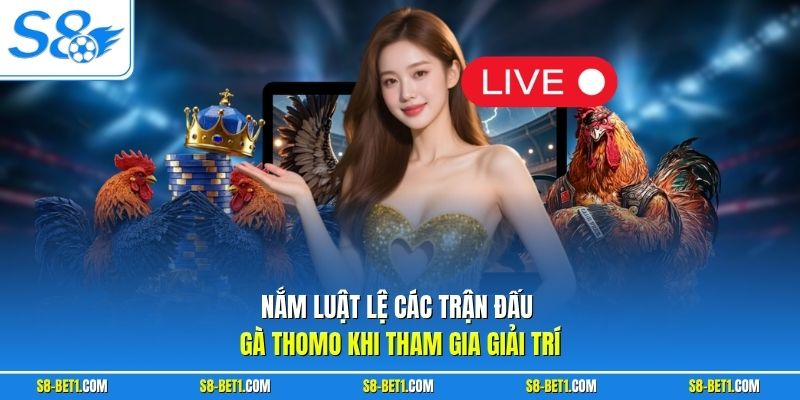 Nắm luật lệ các trận đấu gà Thomo khi tham gia giải trí 