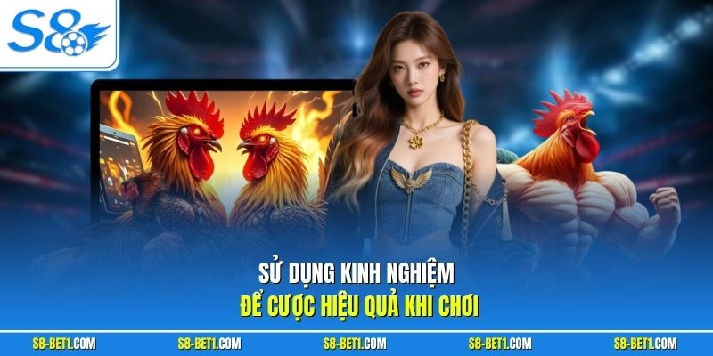 Sử dụng kinh nghiệm để cược hiệu quả khi chơi